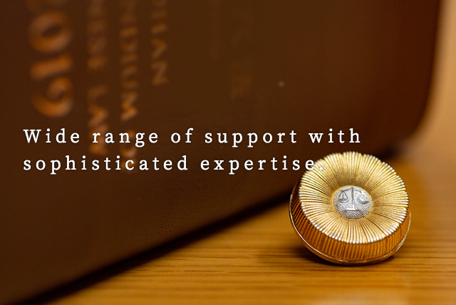 Wide range of support with sophisticated expertise