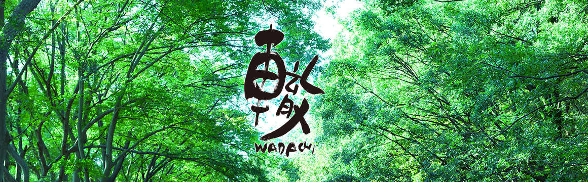 轍（わだち） WADACHI